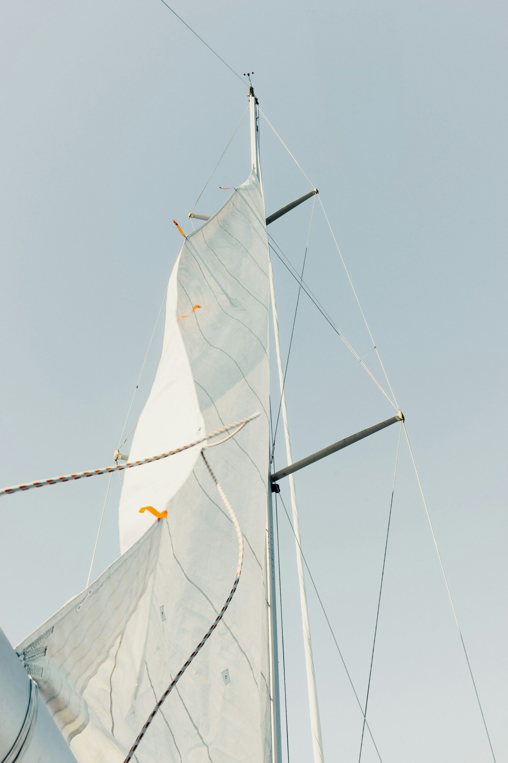 thom-milkovic-egUpLk34J4s-unsplash